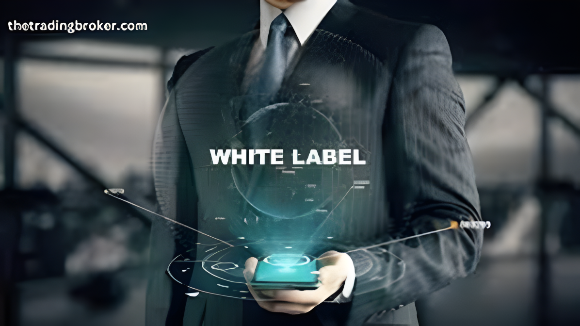 Best forex white label solutions